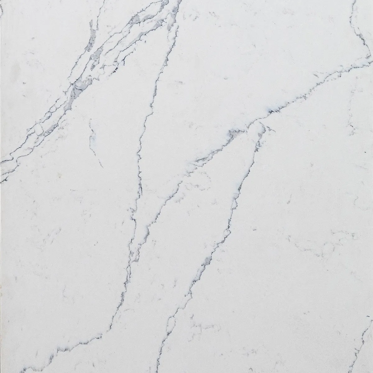 Calacatta Everest quartz sample